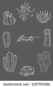 Poster with ornament hand drawn lettering, cacti and succulents on a chalkboard background. Vector composition in scketch style