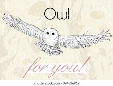Poster with owl. Vintage style. Vector illustration EPS8