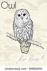 Poster with owl. Vintage style. Vector illustration EPS8