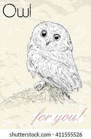 Poster with owl. Vintage style. Vector illustration EPS8