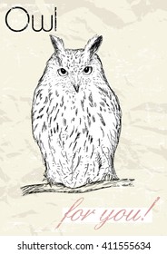 Poster with owl. Vintage style. Vector illustration EPS8