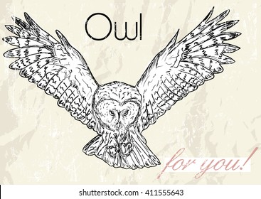 Poster with owl. Vintage style. Vector illustration EPS8