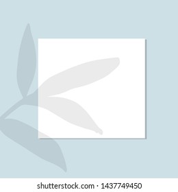 Poster for paintings on the wall with falling shadows from tree branches. Mockup realistic vector. 