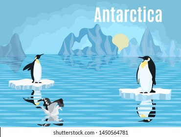 poster penguins on iceberg antarctica albatross bird