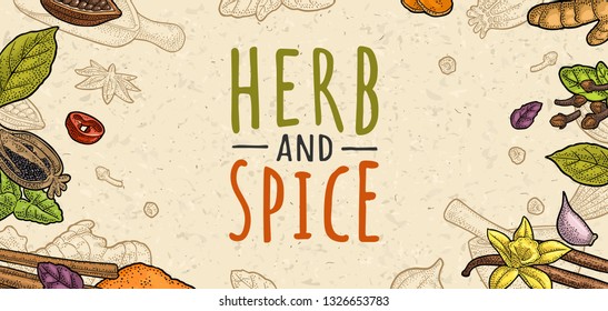 Poster with pepper, cinnamon, mint, cloves, cocoa, poppy, chilli, vanilla, bay leaf, anise, garlic ,cardamom, ginger. HERB and SPICE lettering. Vector color vintage engraving on beige spotted texture