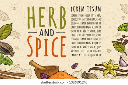 Poster with pepper, cinnamon, mint, cloves, cocoa, poppy, chilli, vanilla, bay leaf, anise, garlic ,cardamom, ginger. HERB and SPICE lettering. Vector color vintage engraving on beige spotted texture