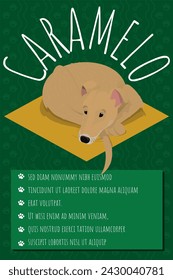 Poster Pet Shop or Vet. Caramel mongrel dog - mutt, popular dog Brazil.  - Vira-Lata Caramelo in brazilian flag