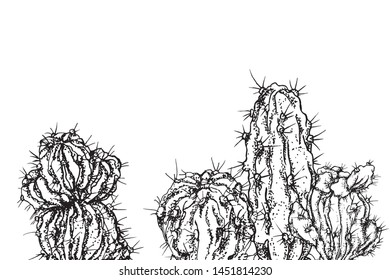 A poster, a picture in the Scandinavian style, in the form of cacti with large thorns, on a white background. Element for the site, interiors, design.