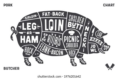 Poster pig for Butcher meat shop. Pork chart with typography and pig drawing. Vector Illustration