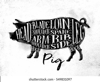Poster pig cutting scheme lettering head, blade shoulder, arm, loin, spare rib, side, hock, leg in vintage style drawing on dirty paper background