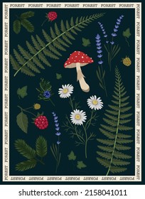 Poster with plants, berries, flowers and mushrooms	