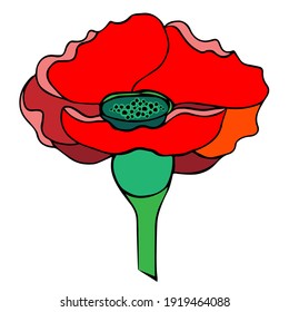 Poster, poppy red, photo picture, stylized, hand-drawn, on a white background, for embroidery folk costume, printing on fabric,for  cover,wallpaper, wrapping,printing of postcards, wedding invitations