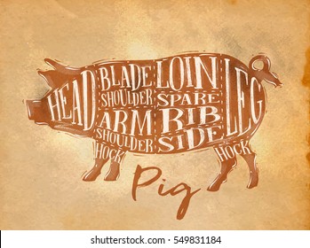 Poster pork cutting scheme lettering head, blade shoulder, arm, loin, spare rib, side, hock, leg in retro style drawing on craft paper background