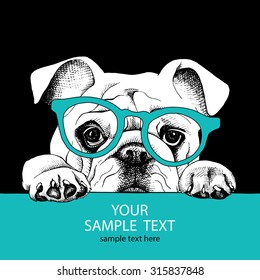 Poster of portrait bulldog with glasses. Vector illustration.