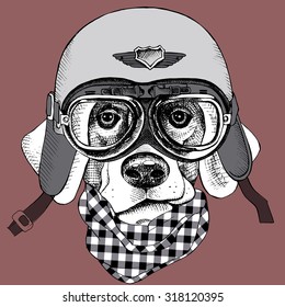 The poster with the portrait of a dog in the motorcycle helmet. Vector illustration.