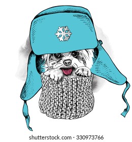 Poster with a portrait of a dog Yorkshire terrier in winter blue hat with ear flaps and in knitted scarf. Vector illustration.