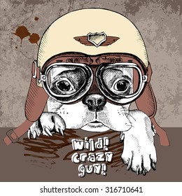 Poster with portrait of a French bulldog in retro motorcycle helmet. Vector illustration.