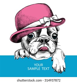 The poster with the portrait of a French bulldog wearing a hat with bow. Vector illustration.