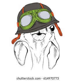 The poster with the portrait of the roe deer wearing the motorcycle helmet. Vector illustration.