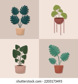 poster of potted plants bundle