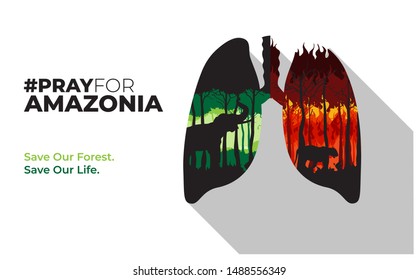 Poster Pray For Amazonia illustrated with forest fires and green trees inside lungs vector