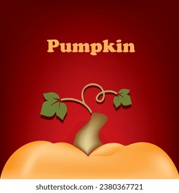 Poster for pumpkin vegetable crop