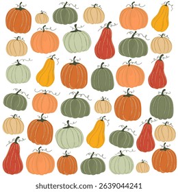 poster with pumpkins of different shapes, varieties, sizes and colors. A perfect print for an autumn theme or harvest festival. Texture is available. A set of Halloween stickers. Vector illustration
