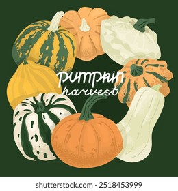 Póster con calabazas y texto cosecha de calabaza. Diseño de marco de Anuncio. Temporada de cosecha. Celebración de Halloween en octubre. Ilustración vectorial.