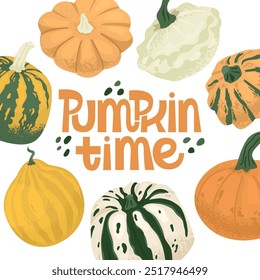 Poster with pumpkins and text pumpkin time. Design for banner. Harvest season. Halloween celebration in October. Vector illustration.