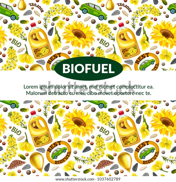 Poster of rapeseeds and flowers,\
canola oil, biofuel. Brassica napus. Vector\
illustration.