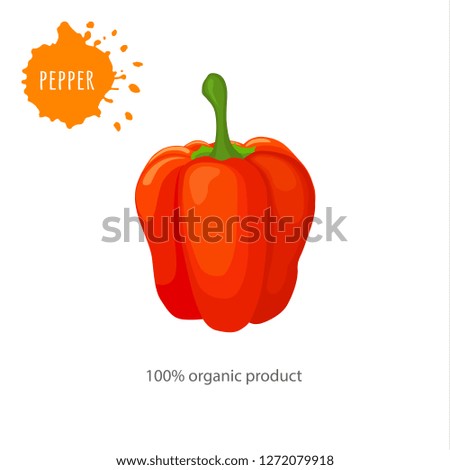 Poster with red sweet pepper. Whole paprika close up. Vector template for advertising.