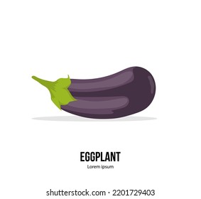 Poster with ripe eggplant isolated on the white background. Vector illustration