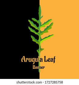 Poster with rucola or arugula leaf icon in flat style. Vegetable organic eco bio farm product. Text Arugula Leaf. Rocket salad image. Eco garden theme banner with arugula leaf. Vector illustration.