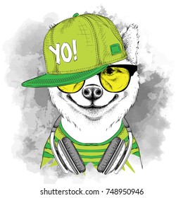 The poster of the sakita inu dog portrait in hip-hop hat and with headphones. Vector illustration.