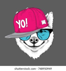 The poster of the sakita inu dog portrait in hip-hop hat and with headphones. Vector illustration.