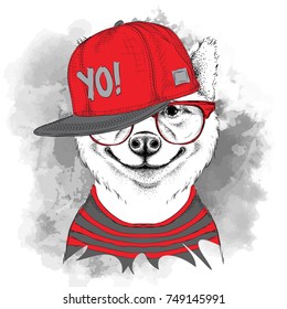 The poster of the sakita inu dog portrait in hip-hop hat. Vector illustration.