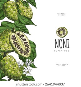 Poster with seamless sidebar of noni fruit with leaves and flowers. Tropical organic plant. Vitamin fruit. For packaging, advertising and healthy eating. Hand drawn vector illustration.