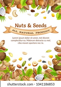 Poster seeds sunflower, pumpkin, and corn. Nuts cashew, brazilian nut, coconut, cedar, hazelnut, cashew, almonds, walnut, nutmeg, pecan, peanut, macadamia, pistachio.