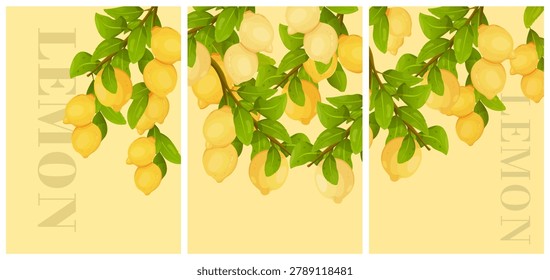 Poster set. Cartoon lemon. Pattern of lemon tree branches on a dark background. Large lemons on a branch. Stylized lemons. Citrus 