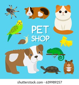 A poster set of cute pets. The concept of zoo stores. Flat isolated vector illustration