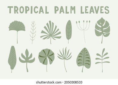 Poster set delicate green leaves of tropical palm trees. Vector hand drawn illustration. Creative flat for kids texture, baby clothes, fabric, wrapping, textile, wallpaper, apparel, design, interior.