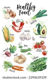 Poster with a set of vegetables painted in watercolor. Collection of vector hand drawn onion, avocado, potato, carrot, pea, lettuce, tomato, garlic, chili pepper, corn on white background. 