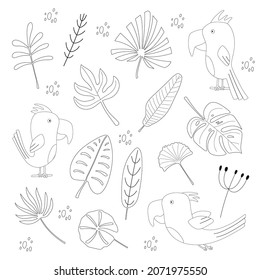 Poster of set white parrots and tropical leaves one line outline elements on white background. Vector hand drawn illustration. Creative flat for kids clothes, fabric, textile, apparel, interior.