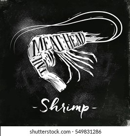 Poster shrimp cutting scheme lettering meat, head, tail in vintage style drawing with chalk on chalkboard background