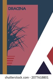  Poster with The silhouette of houseplant Dracena.