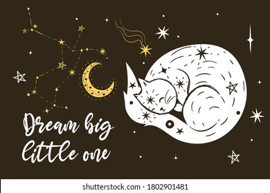 Poster with a sleeping cat, stars and the inscription Dream big little one. Vector graphics.