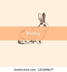 Poster with spotted bunny. Vector. Zoological illustration. Realistic animal silhouette.