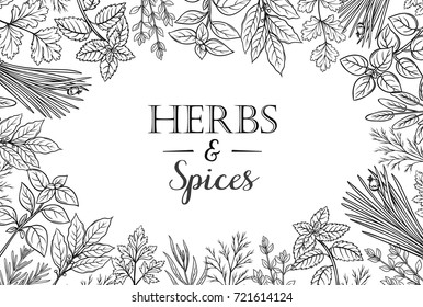 Poster template with hand drawn herbs and spices for farmers market menu design. Vector illustration culinary herbs in ink vintage style.