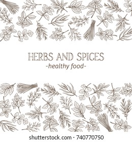 Poster template with hand drawn sketch herbs and spices for farmers market menu design. Vector illustration page decoration culinary herbs in ink retro style.