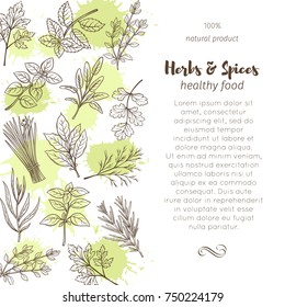 Poster template with hand drawn sketch herbs and spices for farmers market menu design. Vector illustration page decoration culinary herbs in ink retro style.
